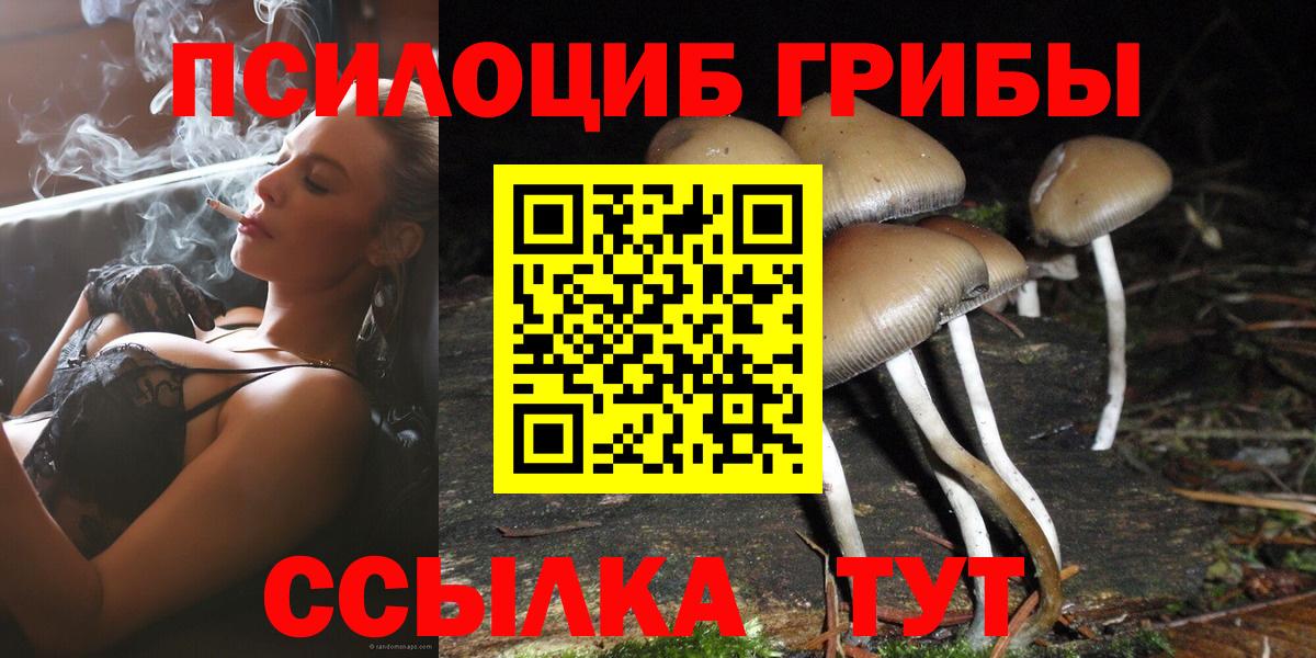 Псилоцибиновые грибы прущие грибы  Галлюциногенные грибы мухоморы  Вход с VPN  Киреевск 