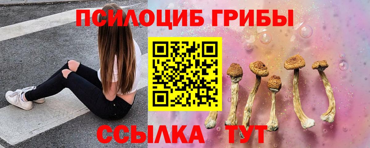 Галлюциногенные грибы Cubensis Киреевск